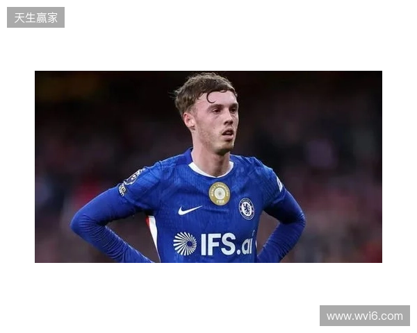 帕尔默：此前连输四场滋味并不好，赢维尔港让大家重拾好心情